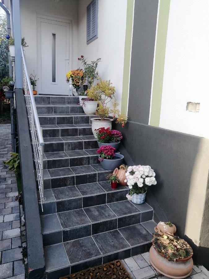 Hotel 264 Lepes Vendeghaz Sárvár Zewnętrze zdjęcie